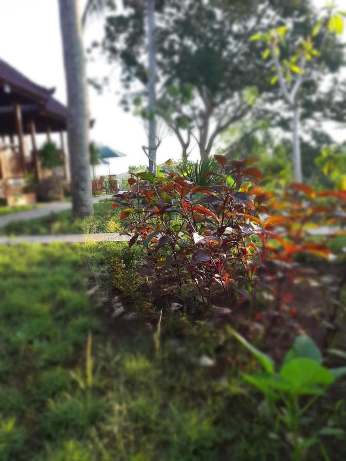 Kkorok Hill Cottage Toyapakeh المظهر الخارجي الصورة